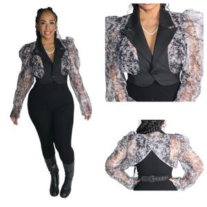 Sheer Puffy Sleeve Top